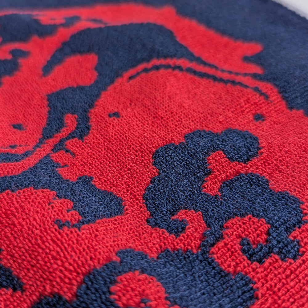 似た者同士 タオルハンカチ