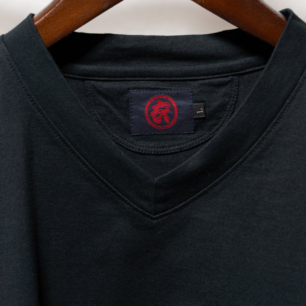 Babysitting Frog V-neck T-shirt