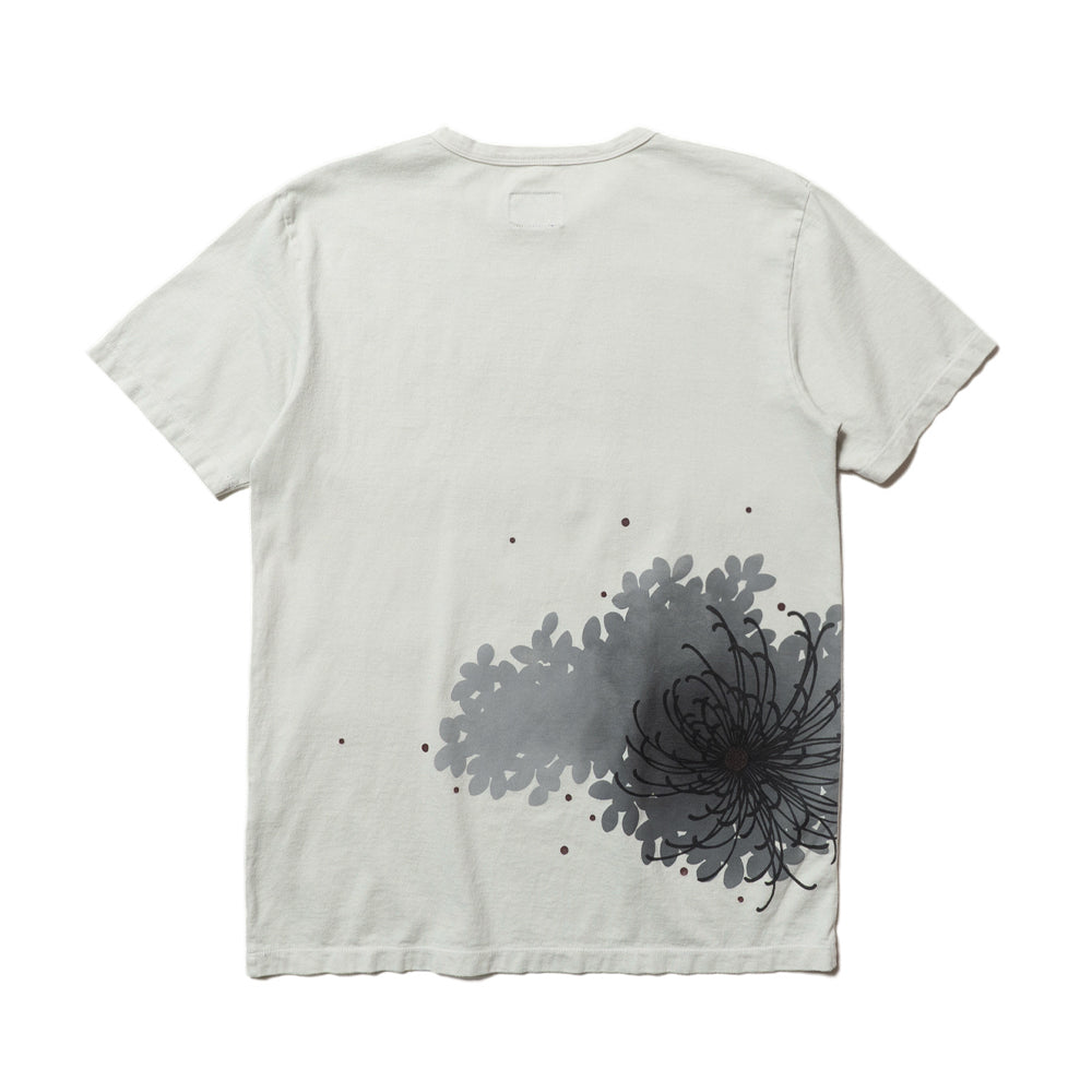 Chrysanthemum Fireworks  T-Shirt