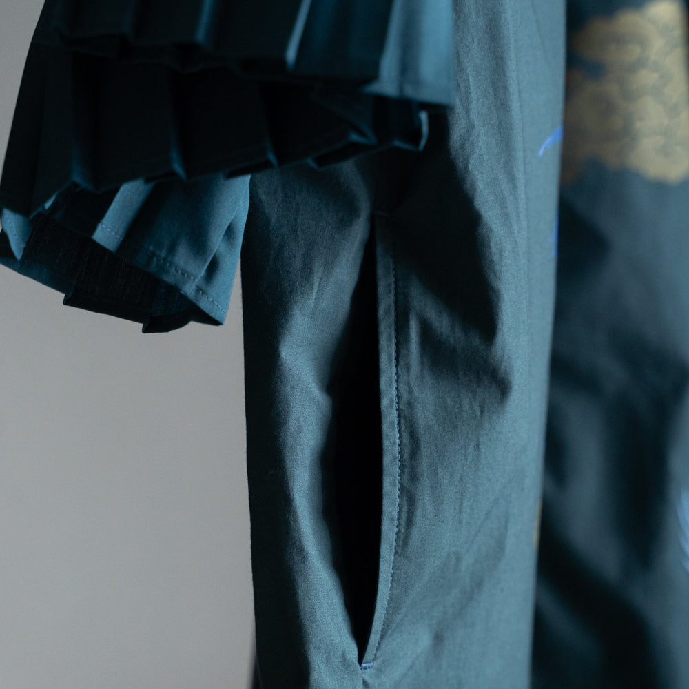 Heron pleated sleeve Dress