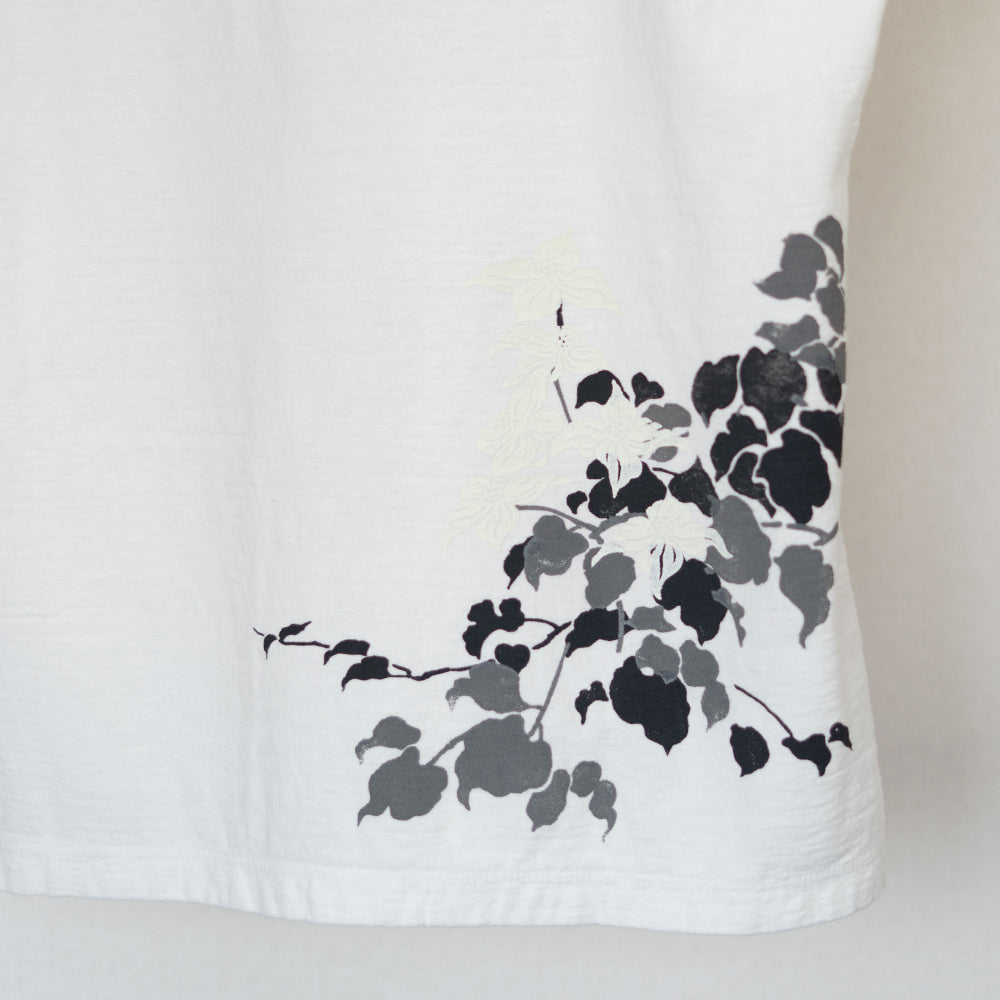 山法師 Tシャツ (レディース）