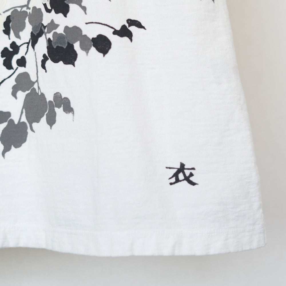 山法師 Tシャツ (レディース）