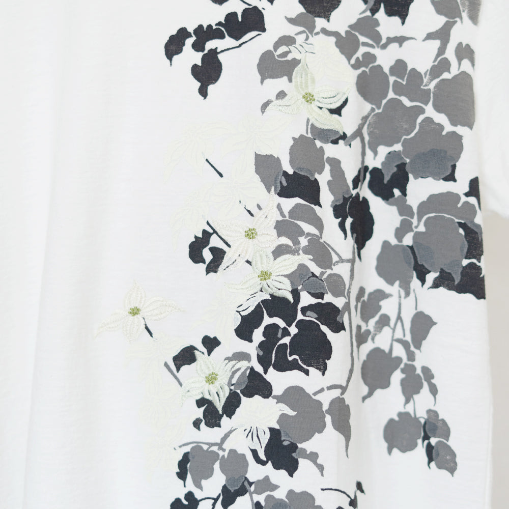 山法師 Tシャツ (レディース）