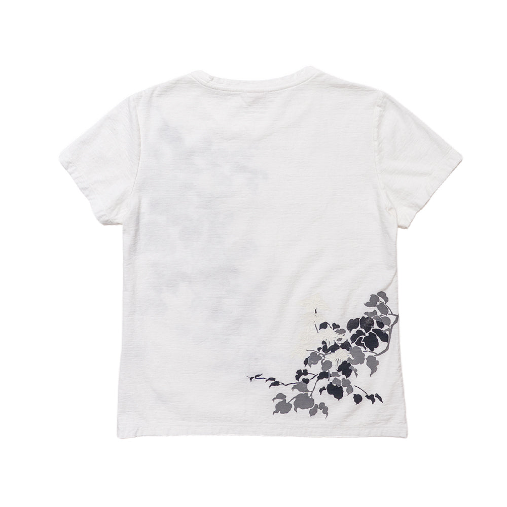 山法師 Tシャツ (レディース）