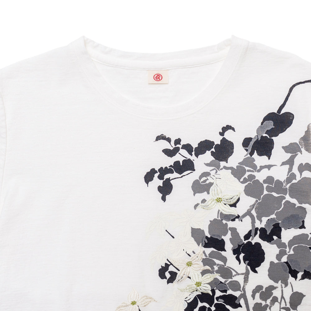 山法師 Tシャツ (レディース）