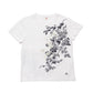 山法師 Tシャツ (レディース）
