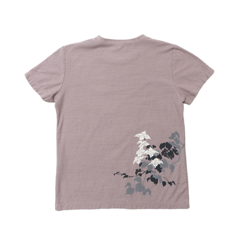 山法師 Tシャツ (レディース）