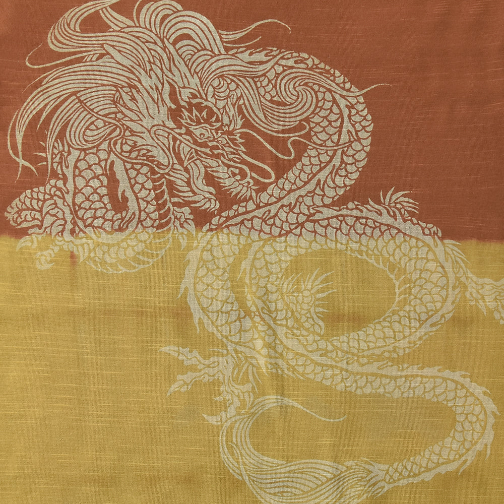 T-shirt “Dragon in the Haze”