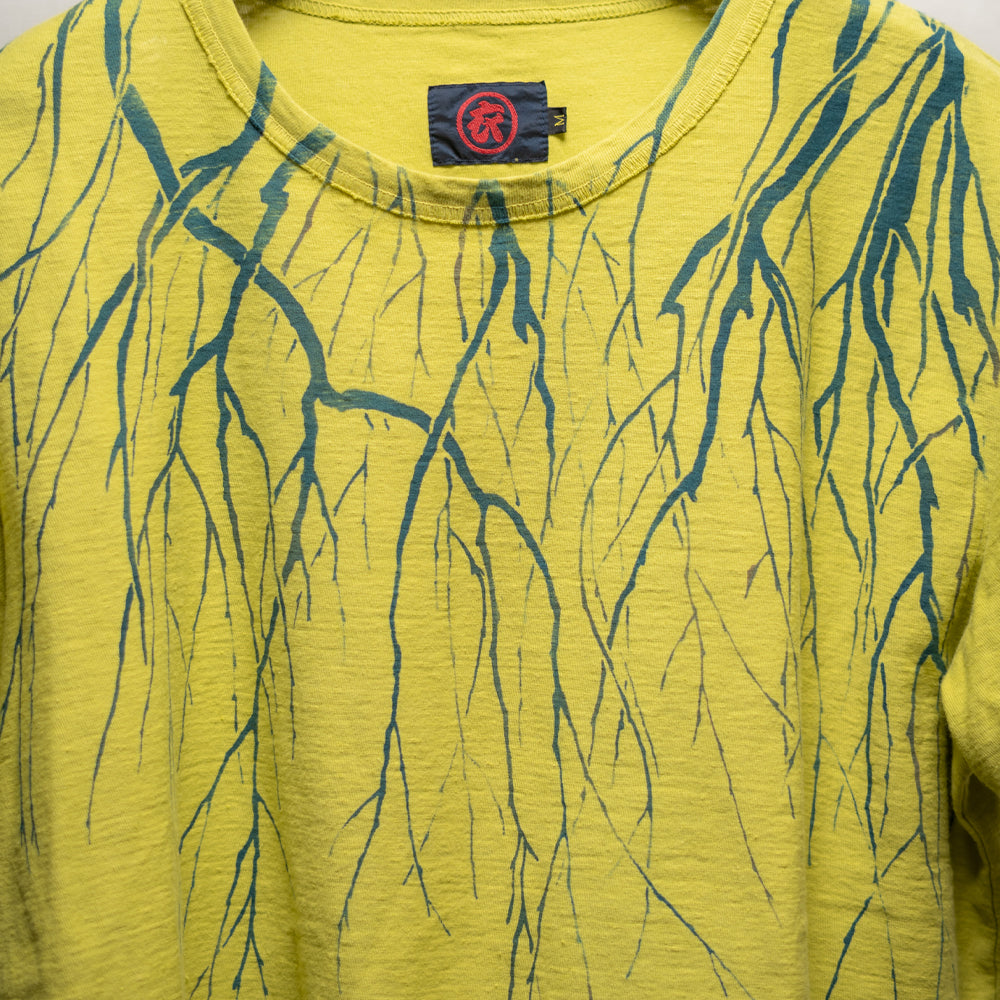 水面と桜錦鯉 Tシャツ