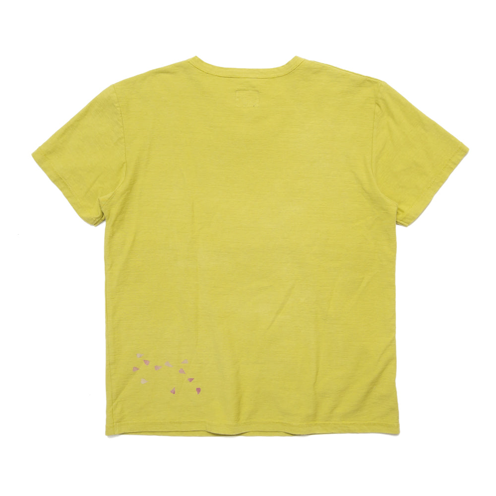 水面と桜錦鯉 Tシャツ